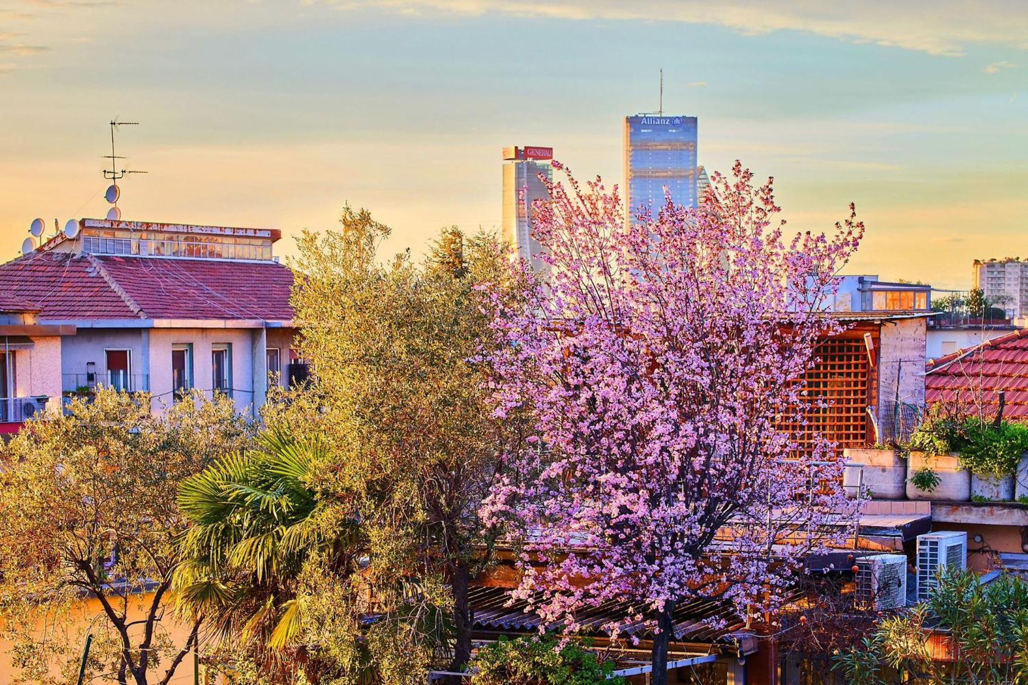 מילאנו Sant'Ambrogio Charme Apartment מראה חיצוני תמונה